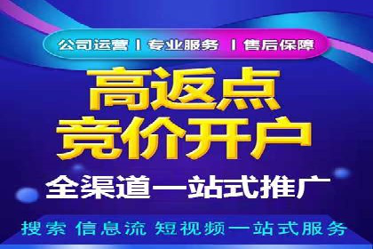 百度竞价成功案例解析